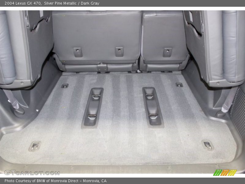 Silver Pine Metallic / Dark Gray 2004 Lexus GX 470