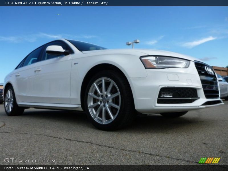 Ibis White / Titanium Grey 2014 Audi A4 2.0T quattro Sedan