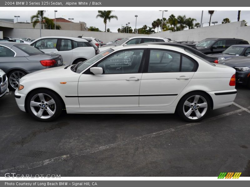 Alpine White / Black 2004 BMW 3 Series 325i Sedan