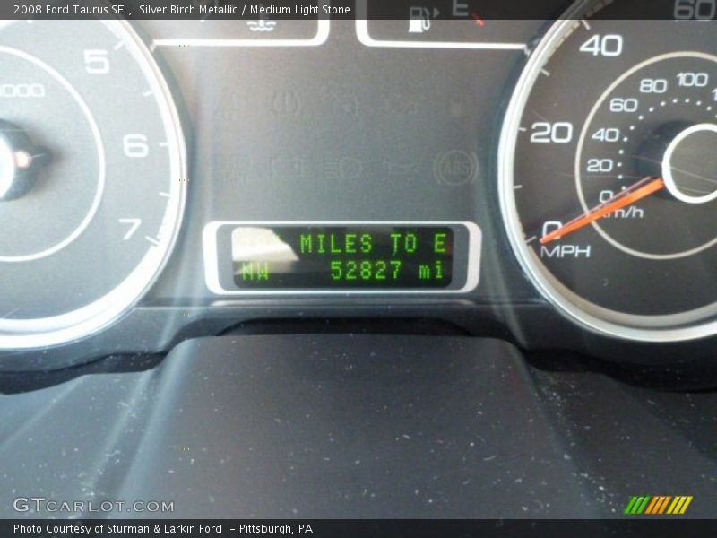 Silver Birch Metallic / Medium Light Stone 2008 Ford Taurus SEL