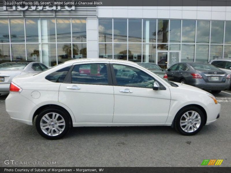 White Suede / Charcoal Black 2010 Ford Focus SEL Sedan