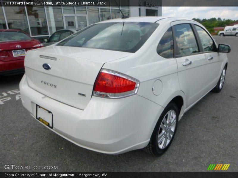 White Suede / Charcoal Black 2010 Ford Focus SEL Sedan