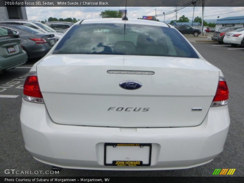 White Suede / Charcoal Black 2010 Ford Focus SEL Sedan