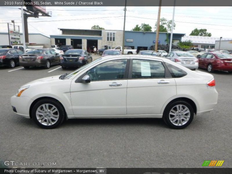 White Suede / Charcoal Black 2010 Ford Focus SEL Sedan