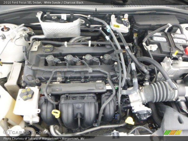 White Suede / Charcoal Black 2010 Ford Focus SEL Sedan