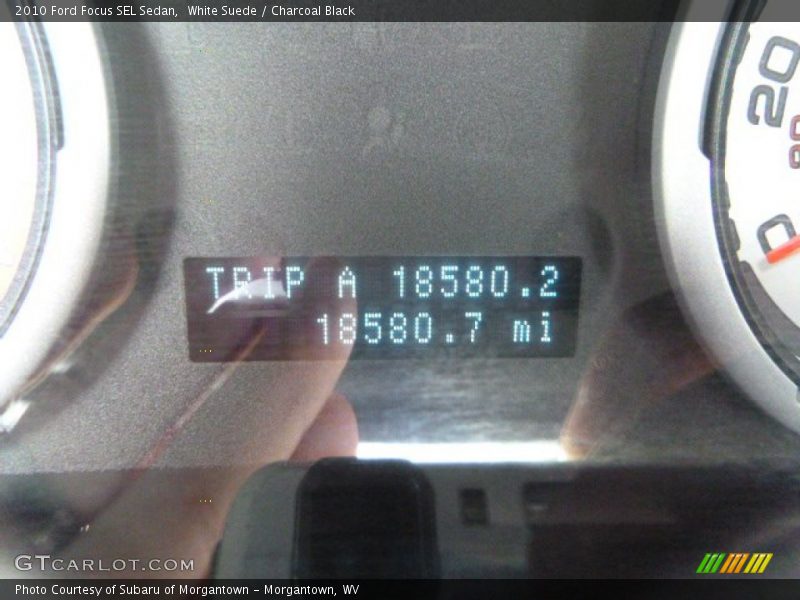 White Suede / Charcoal Black 2010 Ford Focus SEL Sedan