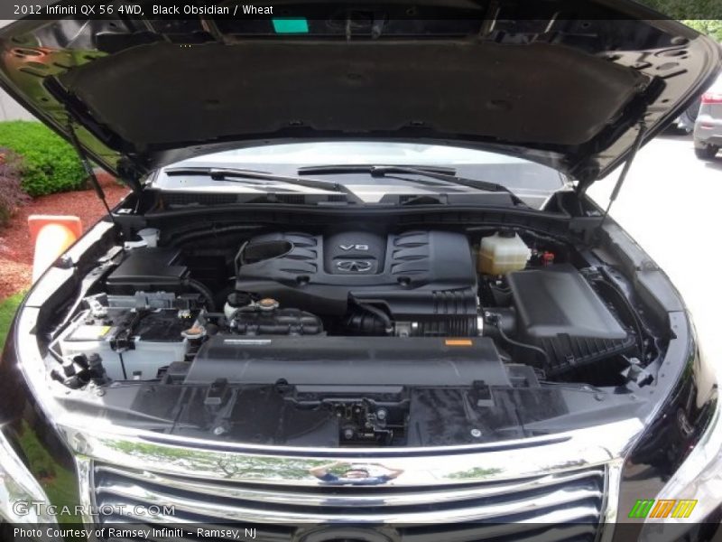 Black Obsidian / Wheat 2012 Infiniti QX 56 4WD