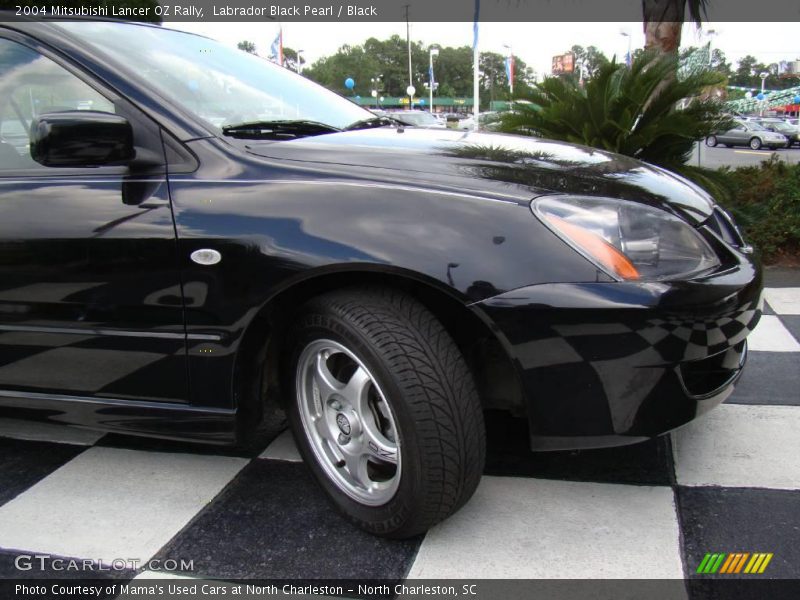 Labrador Black Pearl / Black 2004 Mitsubishi Lancer OZ Rally