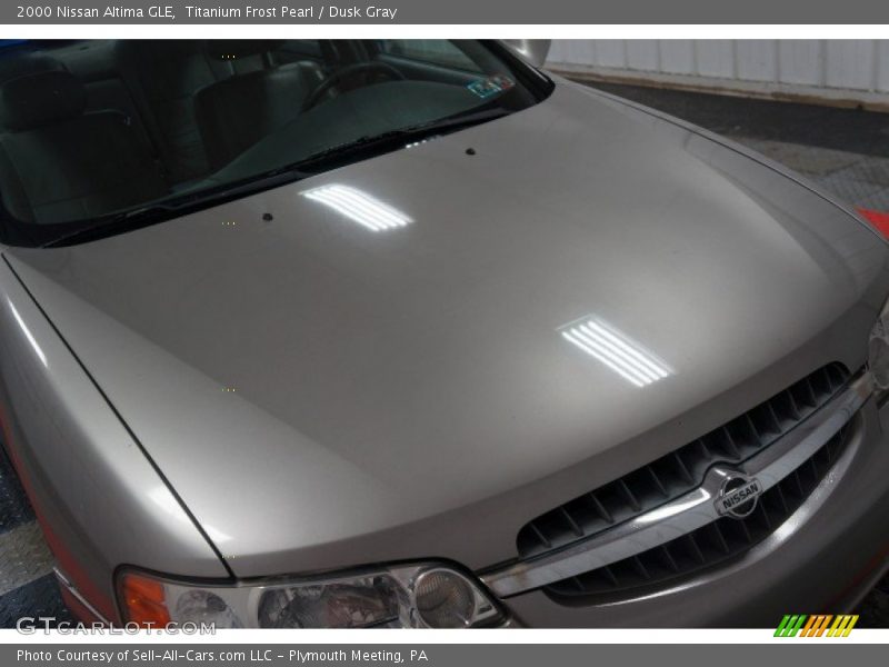 Titanium Frost Pearl / Dusk Gray 2000 Nissan Altima GLE