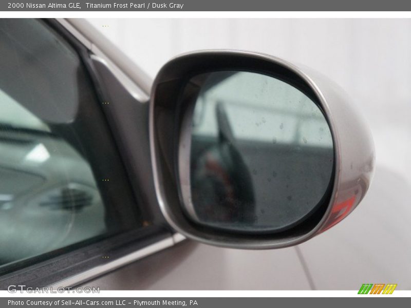 Titanium Frost Pearl / Dusk Gray 2000 Nissan Altima GLE