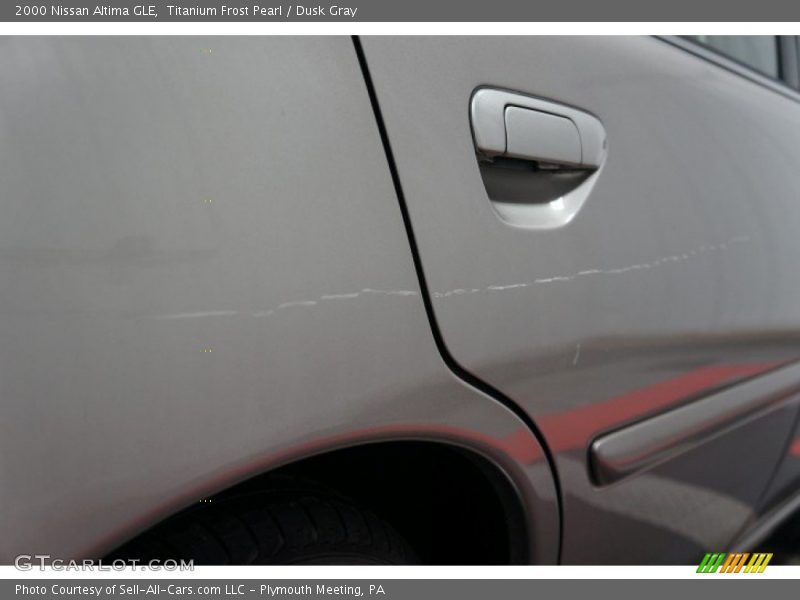 Titanium Frost Pearl / Dusk Gray 2000 Nissan Altima GLE