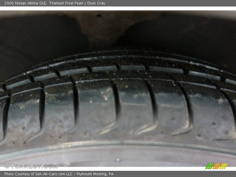 Titanium Frost Pearl / Dusk Gray 2000 Nissan Altima GLE