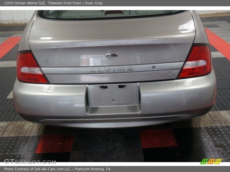 Titanium Frost Pearl / Dusk Gray 2000 Nissan Altima GLE