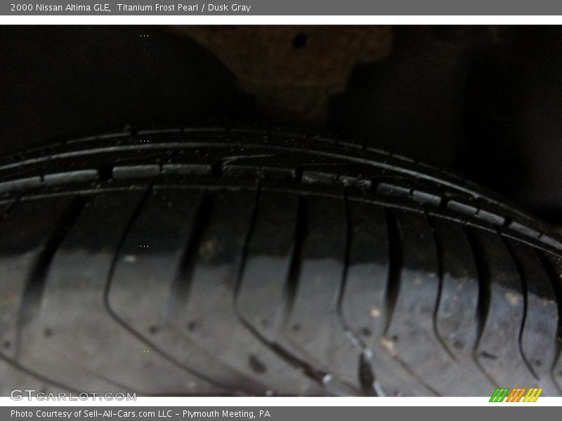 Titanium Frost Pearl / Dusk Gray 2000 Nissan Altima GLE