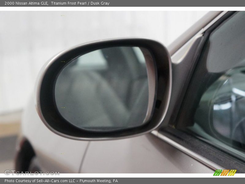 Titanium Frost Pearl / Dusk Gray 2000 Nissan Altima GLE