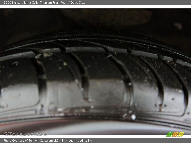 Titanium Frost Pearl / Dusk Gray 2000 Nissan Altima GLE