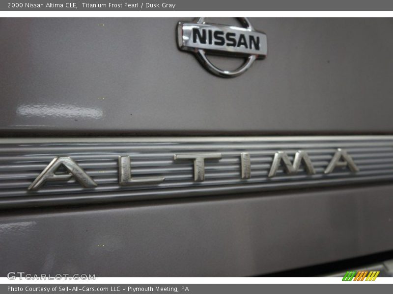 Titanium Frost Pearl / Dusk Gray 2000 Nissan Altima GLE