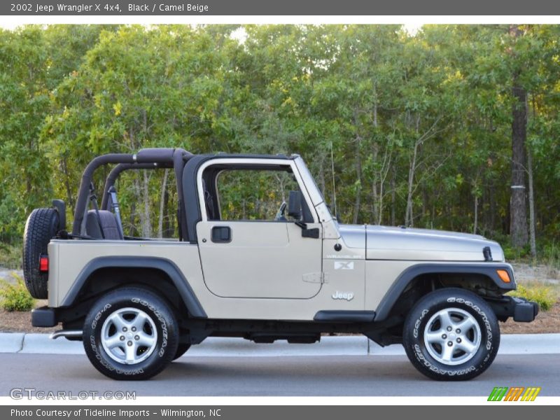Black / Camel Beige 2002 Jeep Wrangler X 4x4