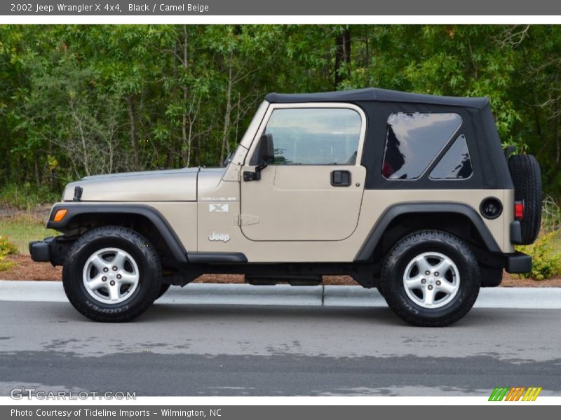 Black / Camel Beige 2002 Jeep Wrangler X 4x4