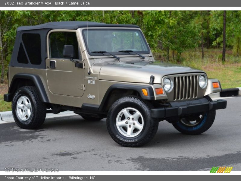 Black / Camel Beige 2002 Jeep Wrangler X 4x4
