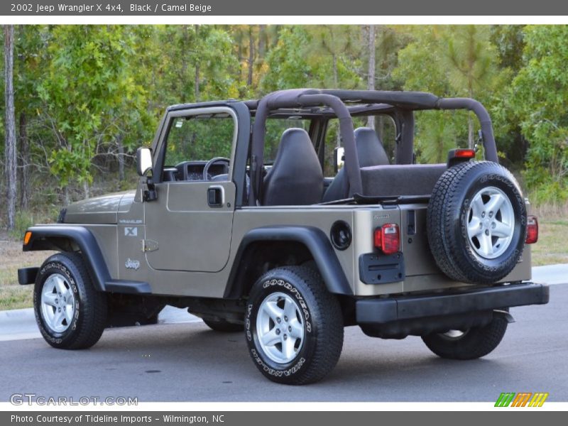 Black / Camel Beige 2002 Jeep Wrangler X 4x4