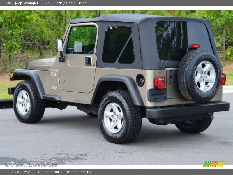 Black / Camel Beige 2002 Jeep Wrangler X 4x4
