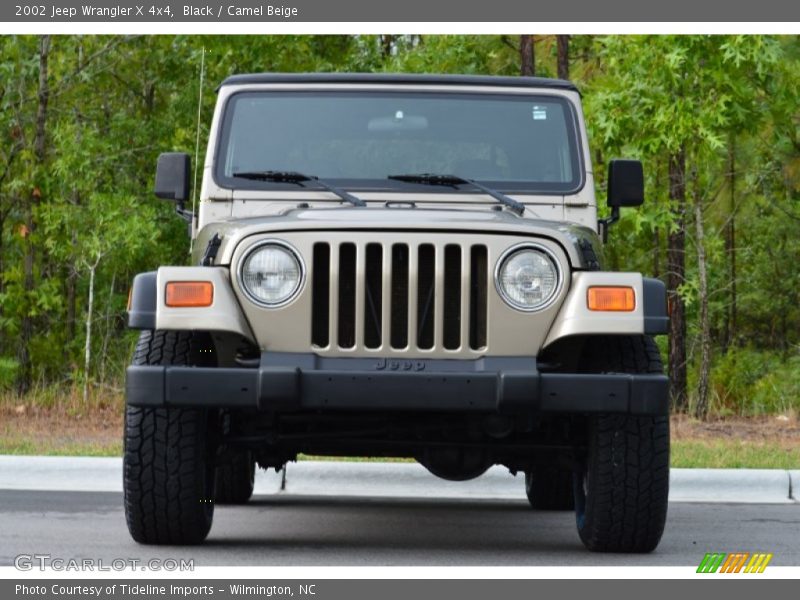 Black / Camel Beige 2002 Jeep Wrangler X 4x4