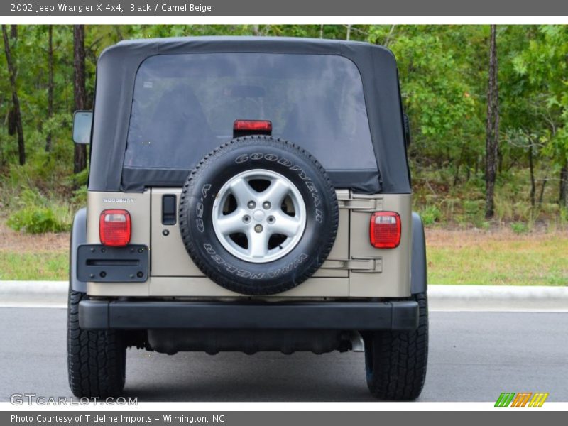 Black / Camel Beige 2002 Jeep Wrangler X 4x4