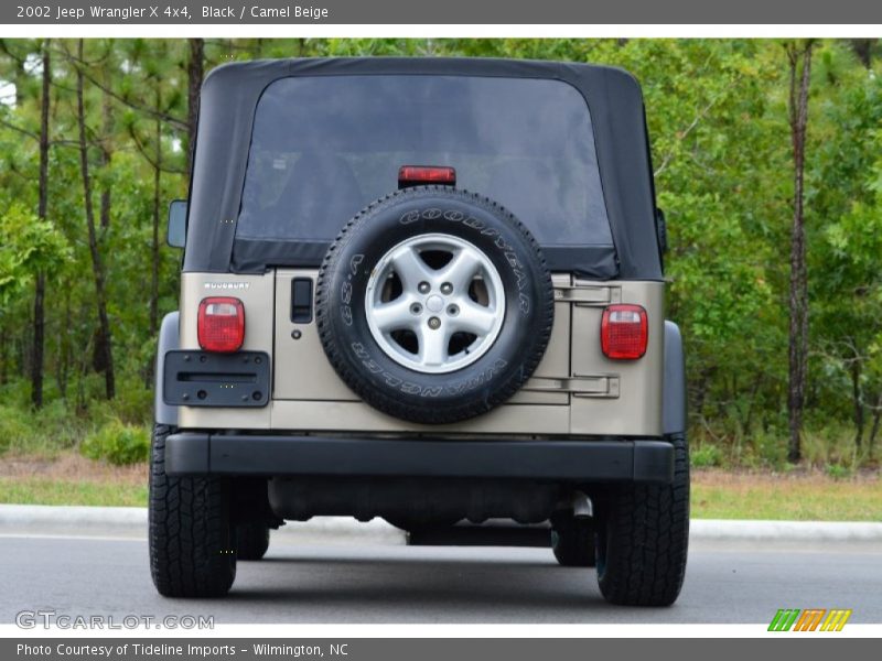 Black / Camel Beige 2002 Jeep Wrangler X 4x4