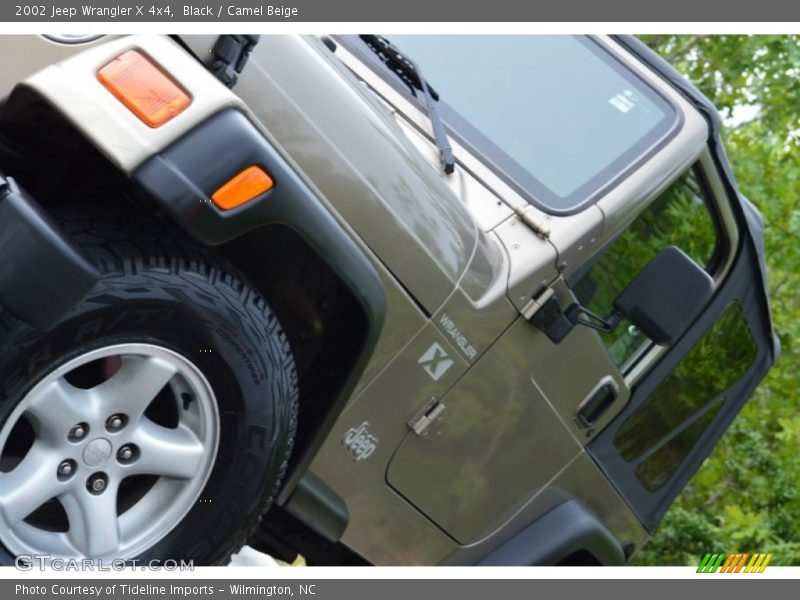 Black / Camel Beige 2002 Jeep Wrangler X 4x4