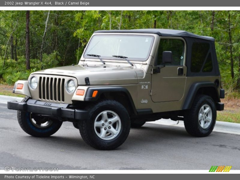 Black / Camel Beige 2002 Jeep Wrangler X 4x4
