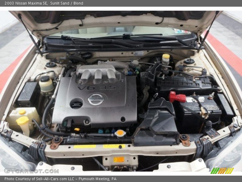 Sunlit Sand / Blond 2003 Nissan Maxima SE