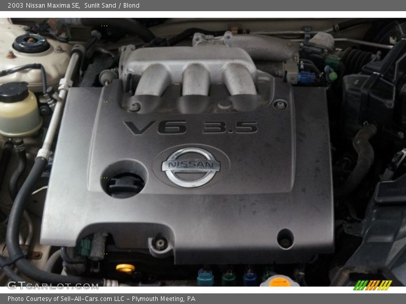 Sunlit Sand / Blond 2003 Nissan Maxima SE