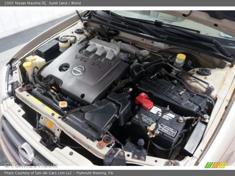 Sunlit Sand / Blond 2003 Nissan Maxima SE