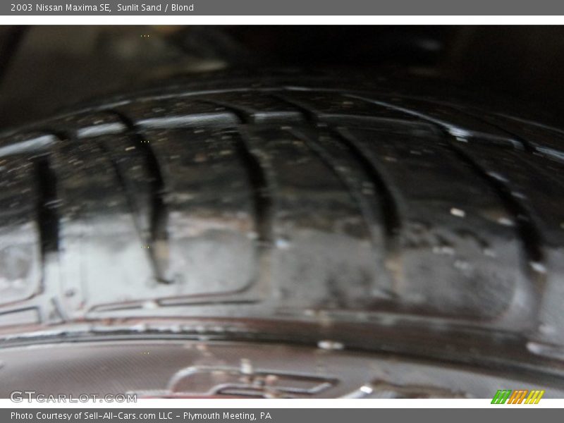 Sunlit Sand / Blond 2003 Nissan Maxima SE