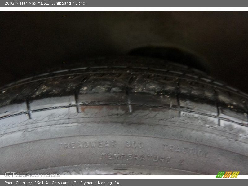 Sunlit Sand / Blond 2003 Nissan Maxima SE