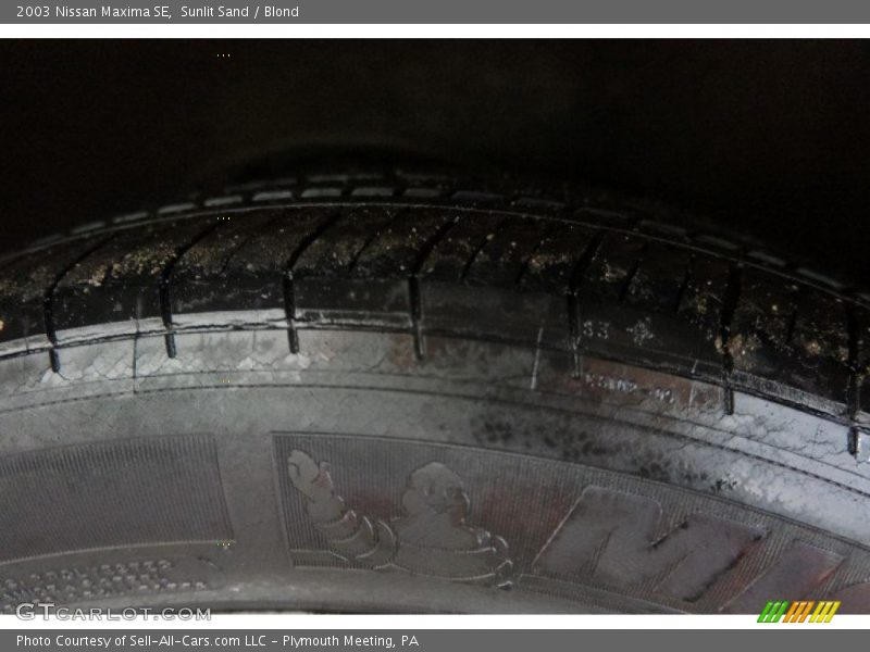 Sunlit Sand / Blond 2003 Nissan Maxima SE