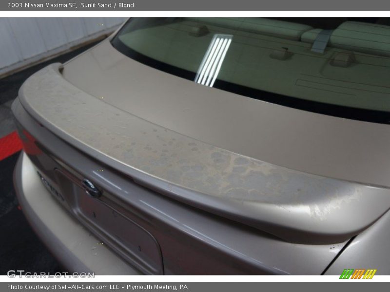 Sunlit Sand / Blond 2003 Nissan Maxima SE