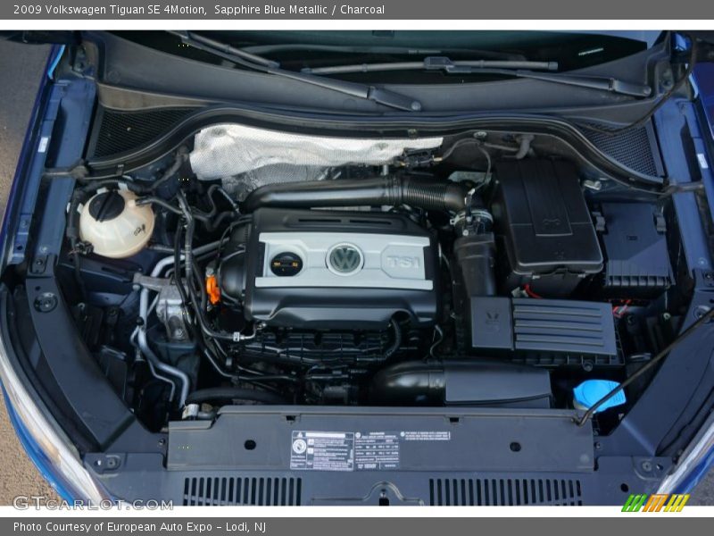 Sapphire Blue Metallic / Charcoal 2009 Volkswagen Tiguan SE 4Motion