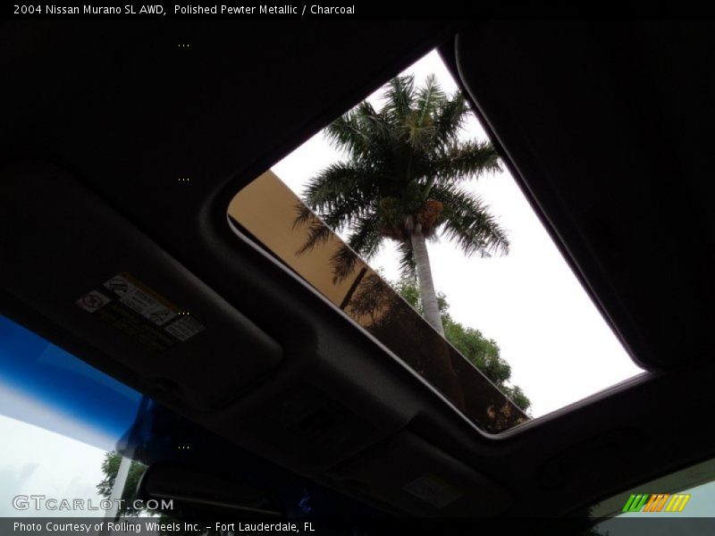 Polished Pewter Metallic / Charcoal 2004 Nissan Murano SL AWD