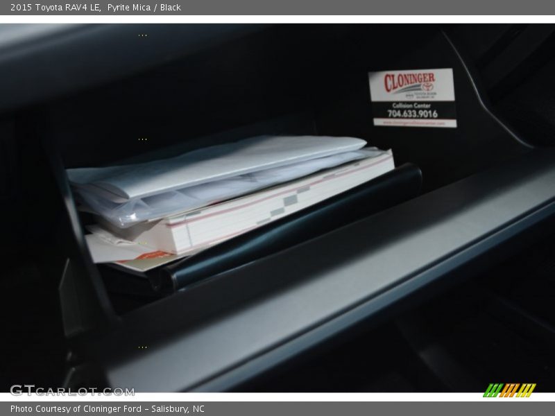 Pyrite Mica / Black 2015 Toyota RAV4 LE