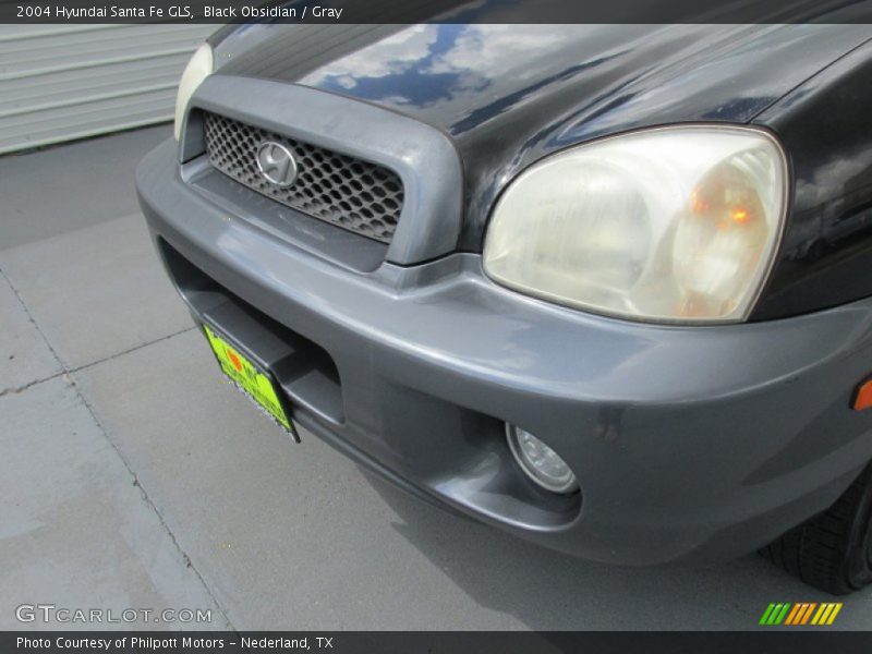 Black Obsidian / Gray 2004 Hyundai Santa Fe GLS
