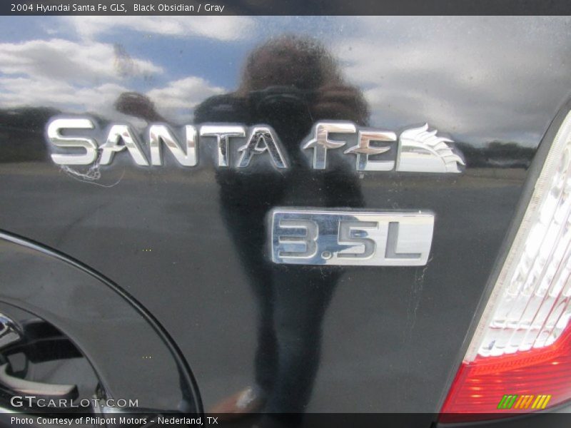 Black Obsidian / Gray 2004 Hyundai Santa Fe GLS