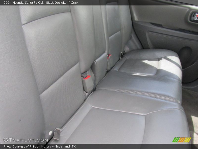 Black Obsidian / Gray 2004 Hyundai Santa Fe GLS