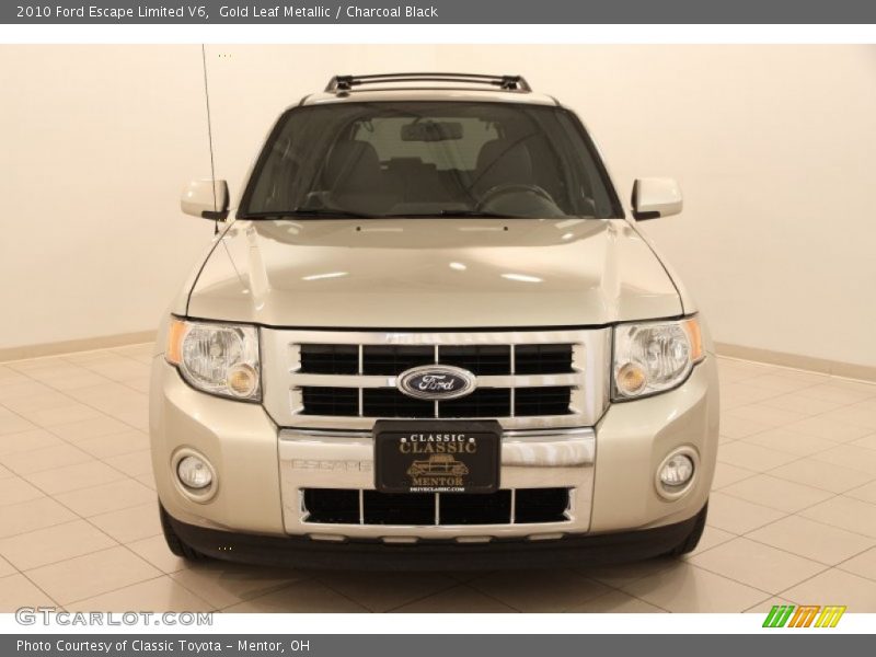 Gold Leaf Metallic / Charcoal Black 2010 Ford Escape Limited V6