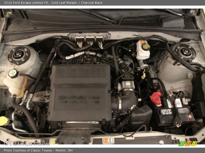 Gold Leaf Metallic / Charcoal Black 2010 Ford Escape Limited V6