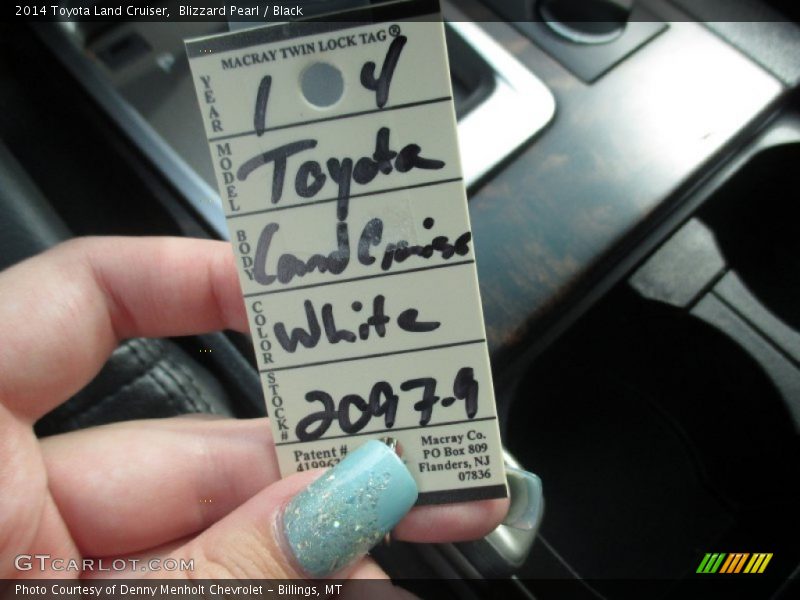 Blizzard Pearl / Black 2014 Toyota Land Cruiser