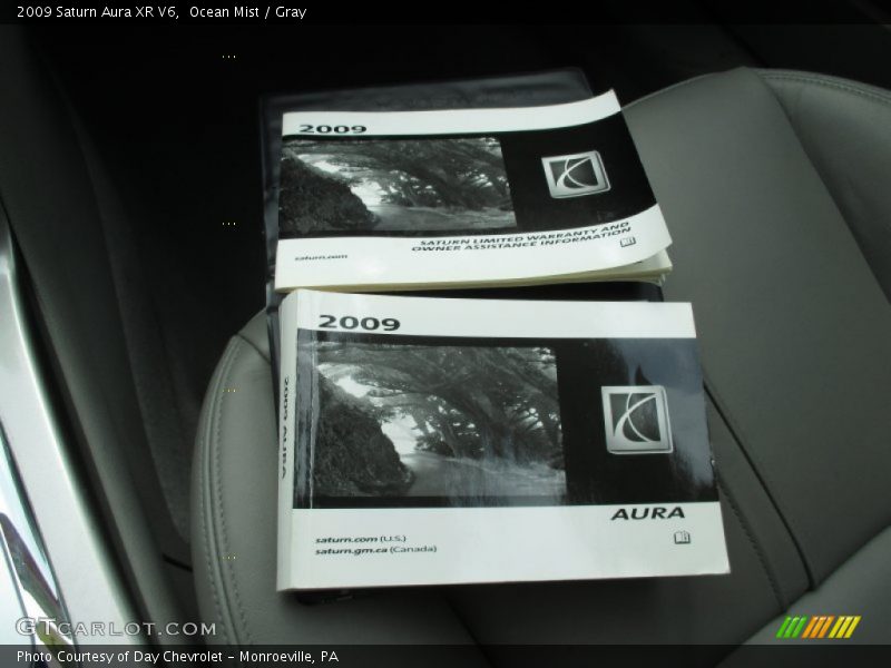 Ocean Mist / Gray 2009 Saturn Aura XR V6