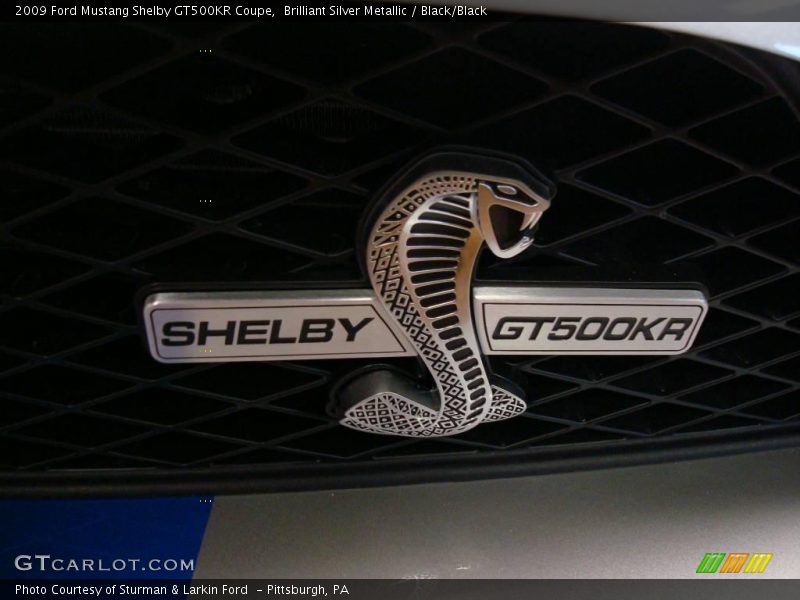 Brilliant Silver Metallic / Black/Black 2009 Ford Mustang Shelby GT500KR Coupe