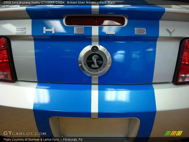 Brilliant Silver Metallic / Black/Black 2009 Ford Mustang Shelby GT500KR Coupe
